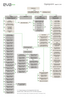 E.V.A. Organigramm