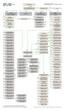 E.V.A. Organigramm